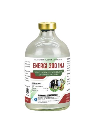 ENERGI 300 INJ