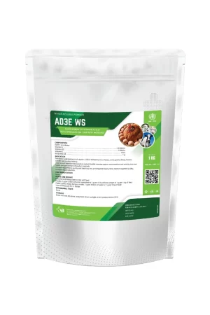 AD3E WS