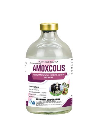 AMOXCOLIS