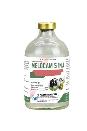 MELOCAM 5 INJ