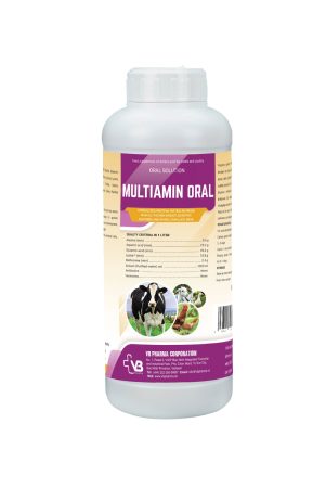 MULTIAMIN ORAL
