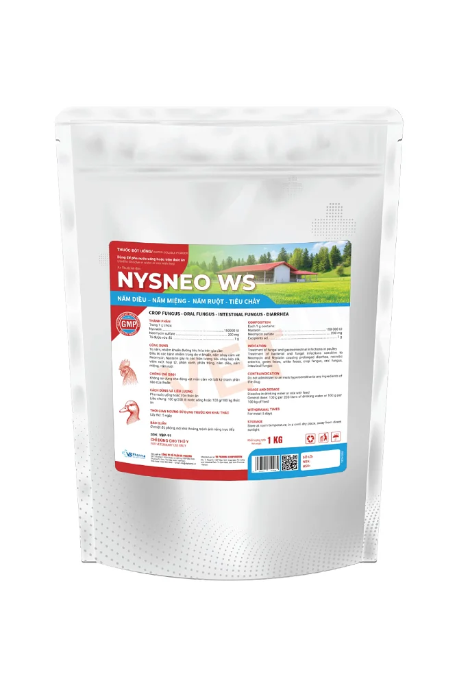 NYSNEO WS