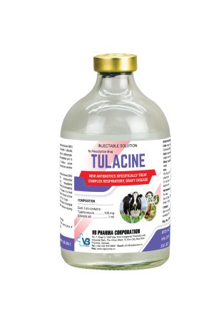 TULACINE