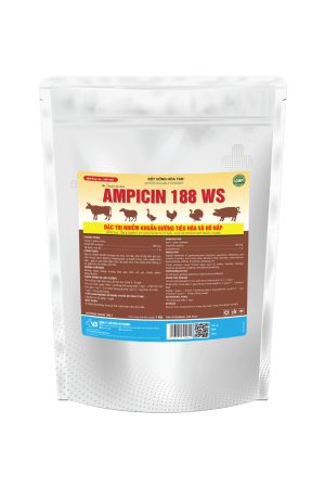 AMPICIN 188 WS