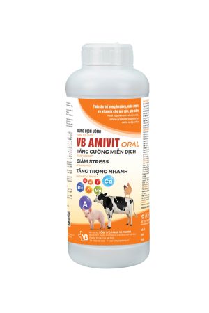 VB AMIVIT ORAL