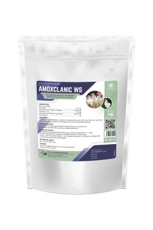 AMOXCLANIC WS