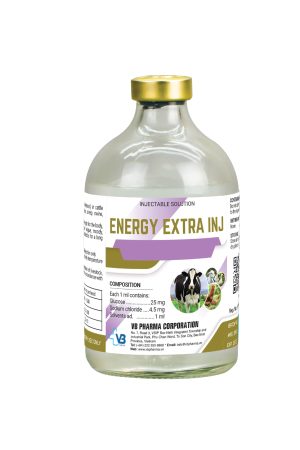 ENERGY EXTRA INJ
