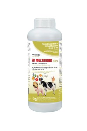 VB MULTIERHB ORAL