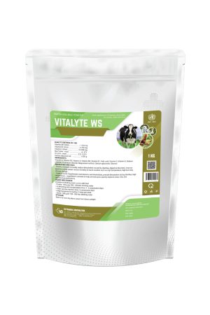 VITALYTE WS