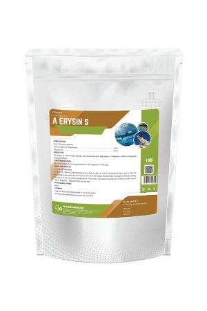 A ERYSIN S