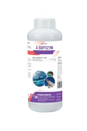 A SUPTIZYM