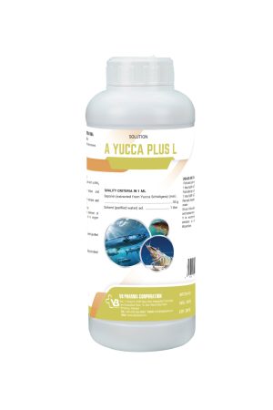 A YUCCA PLUS L