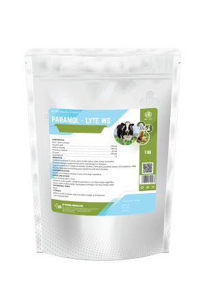PARAMOL- LYTE WS