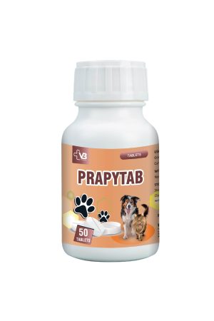 PRAPYTAB
