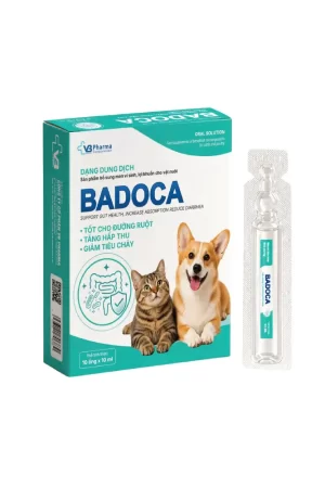 BADOCA