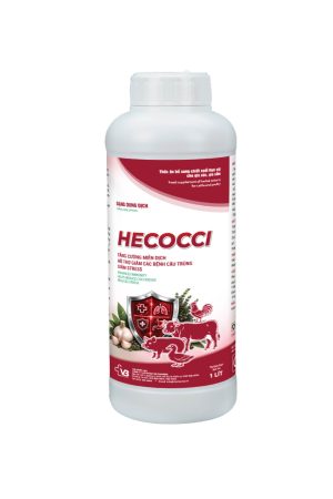 HECOCCI