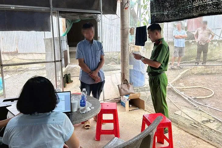 Dong Nai discovers 7 pig farms using banned substances to “fatten” pigs